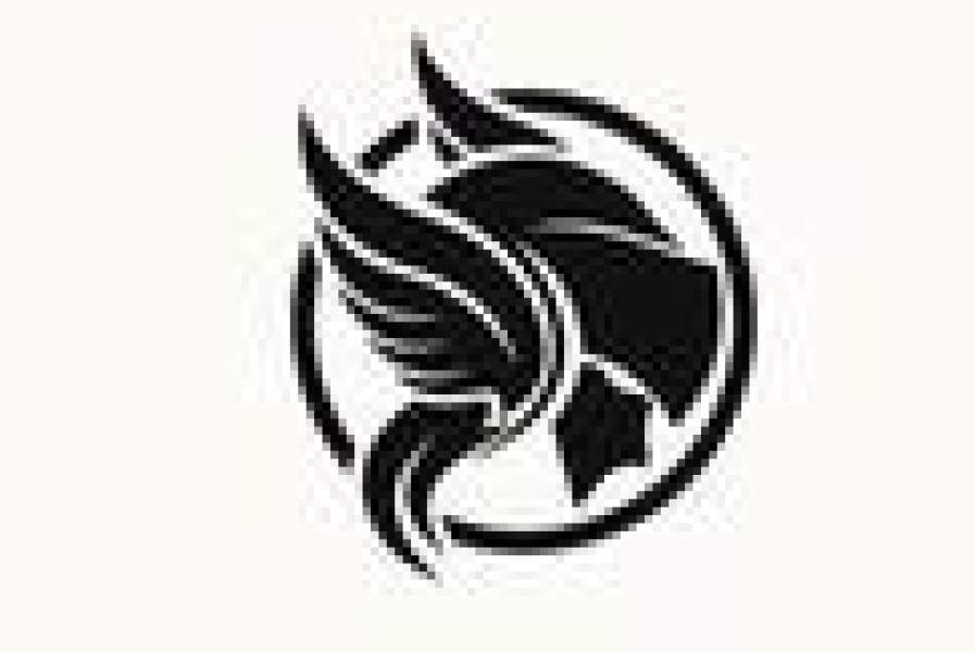 logo de l’utilisateur