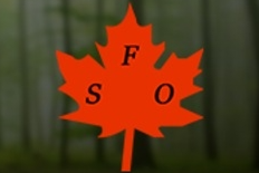 logo de l’utilisateur