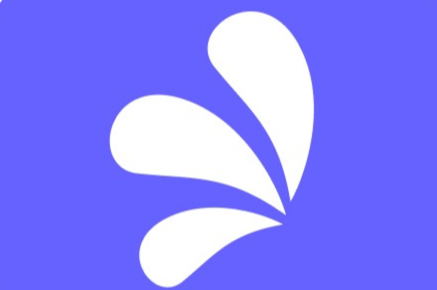 company logo